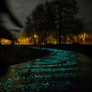 Route et piste cyclable phosphorescente